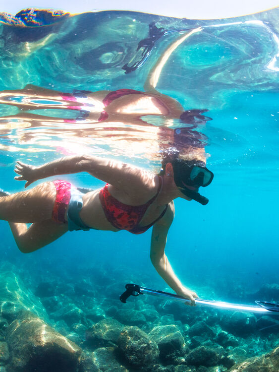 Siren Bikini Top - Sulawesi, , original