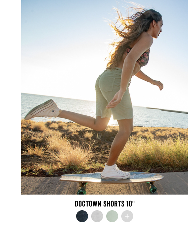 Shop the Dogtown 10