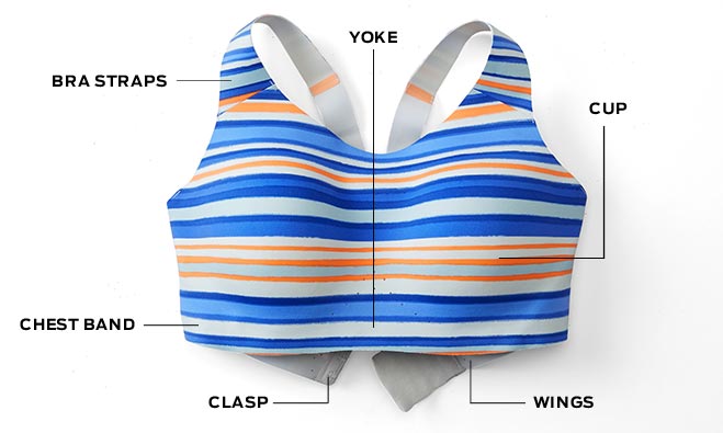 The Ultimate Guide to Sports Bra Parts